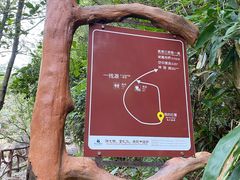 -浙北大峡谷