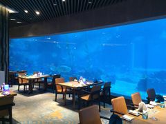大堂-海棠湾洲际-涛·海底餐厅·美人鱼·自助餐·海底隧道