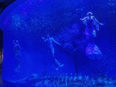 -合肥海洋世界