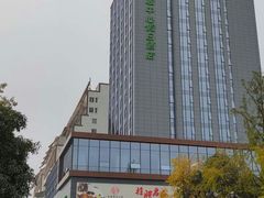 -都江堰中心国际酒店