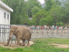 -西安秦岭野生动物园