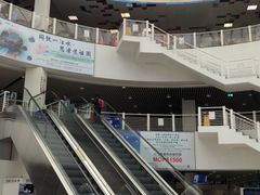 -澳门外港客运码头(轮渡站)