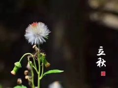 -七欣天香辣蟹火锅(南京建宁路大观天地店)
