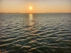 -海岛八号龙虾烧烤田鸡(蓝天路总店)