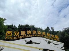 -西双版纳原始森林公园