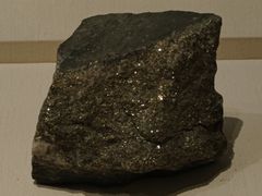 -辽宁古生物博物馆