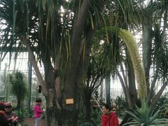 -南通洲际绿博园