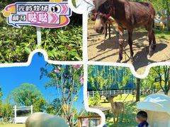 -金鸡湖桃花岛