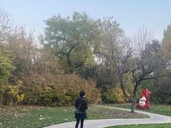 -静园(和平区)