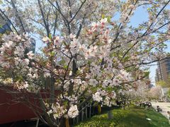 -新天地活力PARK