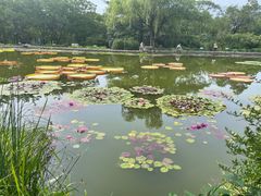 -国家植物园南园