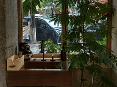 -真打拉面·日式拉面新流派(体育西横街店)
