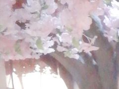 -碧中海汤泉汗蒸酒店