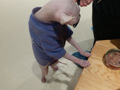 -藏猫猫咖啡主题馆(中央大道店)