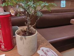 -CURRY YA 熟成咖哩專門店(深圳湾万象城店)