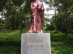 -广东中医药博物馆
