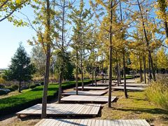 -羊亭河湿地公园