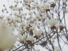 -凤凰沟景区