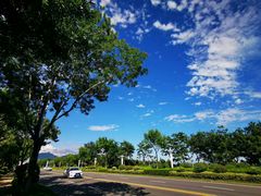 -青岛海滨风景区