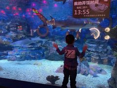 -烟台海昌鲸鲨海洋公园