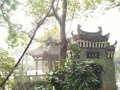 -习家池