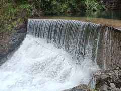 -大奇山国家森林公园