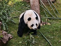 -青藏高原野生动物园