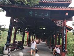 -重庆彩云湖湿地公园