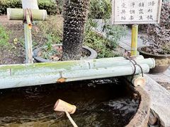 -中华孝德园