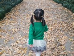-杭州少年儿童公园