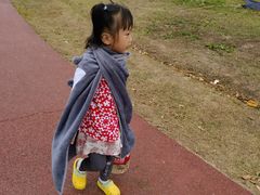 -春花秋色城市公园