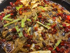 -老板恋上鱼(恒隆广场店)