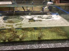 -Isla Sugbu Seafood City