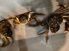 -蟹天蟹地农家菜·阳澄湖大闸蟹(浅水湾店)