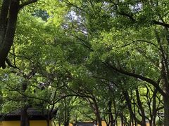 -西园戒幢律寺