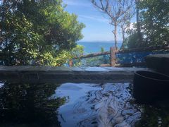 -南紀白浜 浜千鳥の湯 海舟