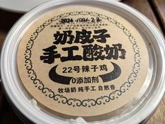 -柴窝堡22号传承新疆菜·新疆辣子鸡