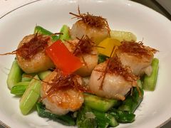 Xo酱炒澳洲玉带-粤界(望京金辉店)