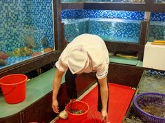 -临家小院·潮汕菜·商务宴请·点心(白石洲店)