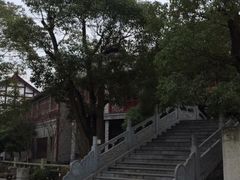 -龙潭水乡