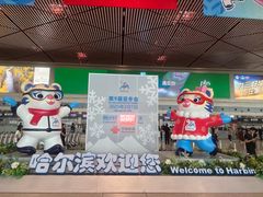 -哈尔滨太平国际机场-T2航站楼