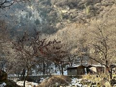-少华山国家森林公园