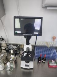 -派恩宜灰指甲鸡眼嵌甲手足癣