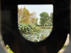 -金银湖国家城市湿地公园