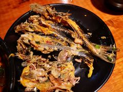 -三道苗苗鱼·美蛙黄辣丁(八里店)