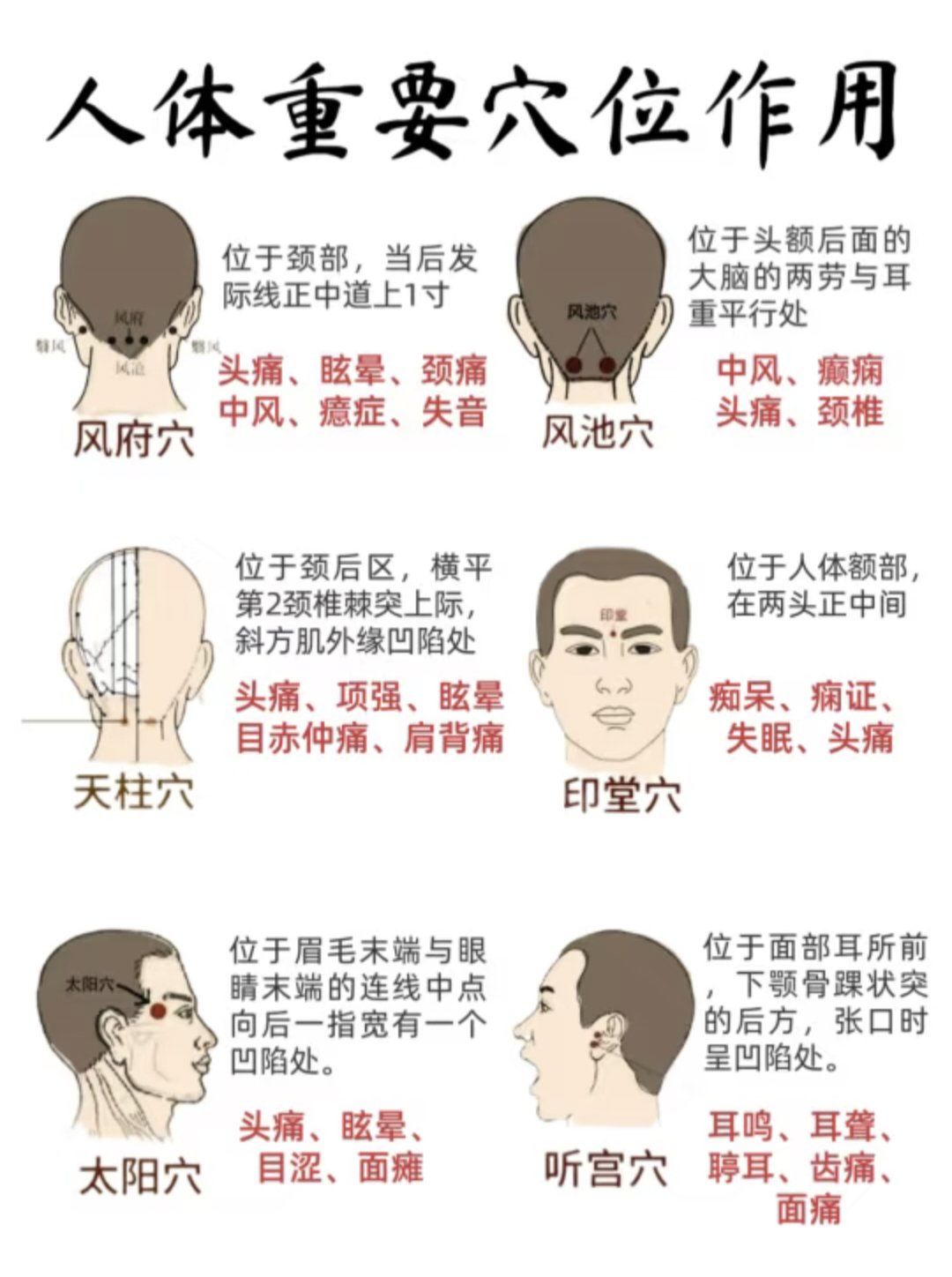 人体重要穴位及作用