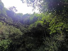 -海口火山口国家地质公园