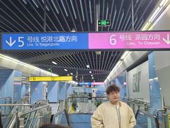 -大龙山(地铁站)