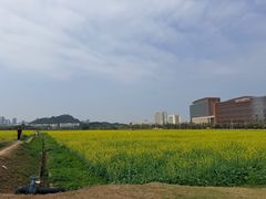 -光明小镇欢乐田园