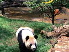 -云南野生动物园